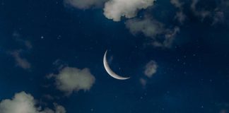 Yeni Bir Dünya İçin İslamî Yenilenme