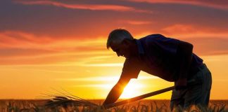 Aşk ile Gayret Dairesi