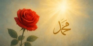 Gül Kokulu Peygamberin (s.a.v.) Nurlu Gelişi