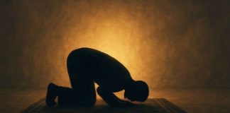 Sahip Olmaktan Var Olmaya Yönelmek: Eşyadan Özgürlüğe Geçiş