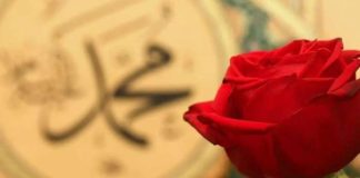 Medine Toplumunda Hadis Kültürünün Yansımaları – 2