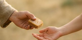 Sadaka: Hayatın Her Anına Gizlenmiş İbadet