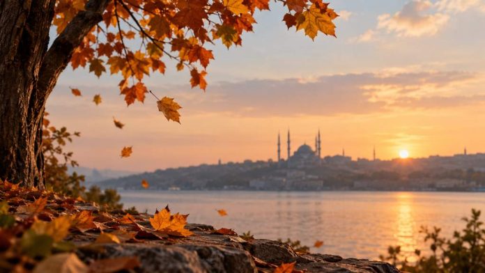 yaprak dökümü
